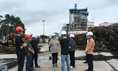 广农集团外部董事汪虹调研钦州ISCC生物质加工项目