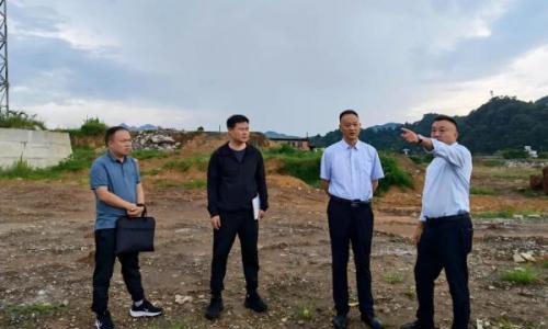 罗平县委书记许韶发深入包保储能项目调研