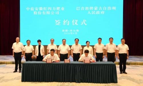 74.75亿元!中盐红四方新疆项目签约,配套4000Nm&sup3;/h电解水制氢单元