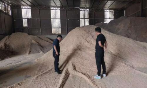 提前谋划备燃料 夯实三秋烘干保障 | 苏垦农发南通分公司实地考察生物质颗粒燃料