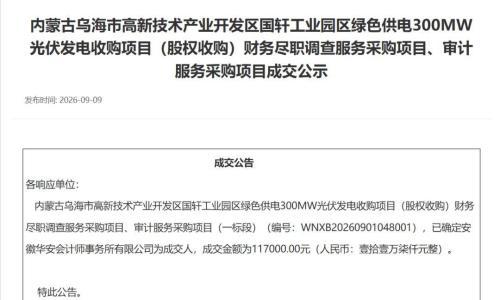 安徽能源拟收购国轩控股300MW光伏工业园区绿电项目股权